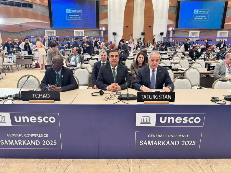 Глава МИД Таджикистана обсудил с главой ЮНЕСКО сотрудничество в сфере образования и науки