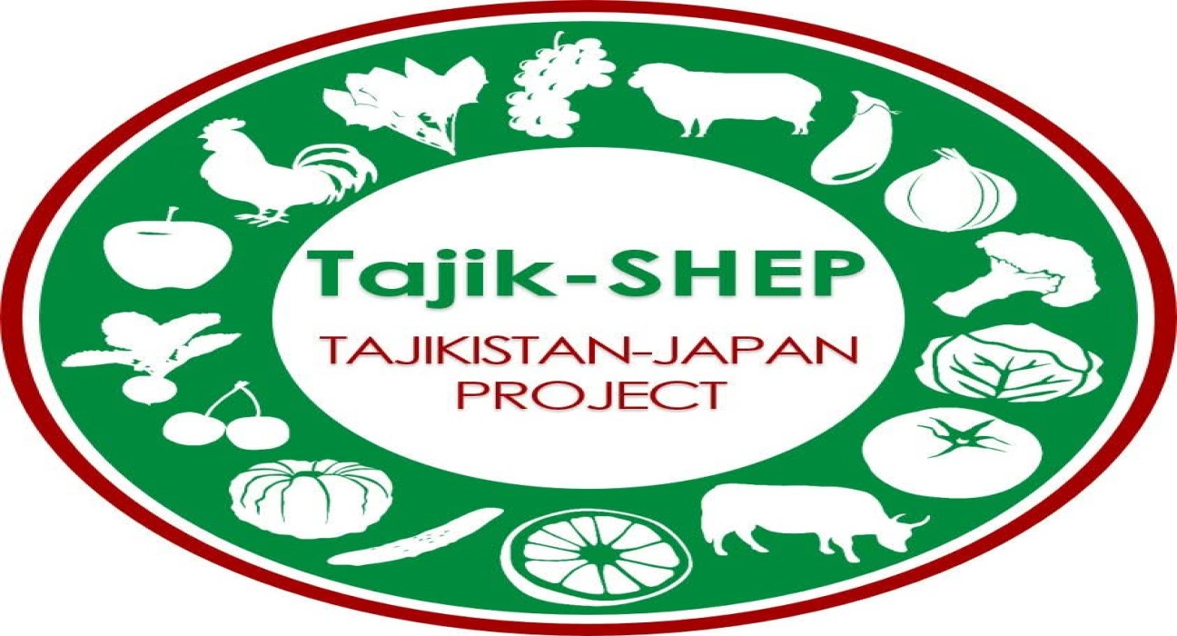 Проект "Улучшение услуг в сельском хозяйстве с помощью подхода SHEP, “Tajik-SHEP”